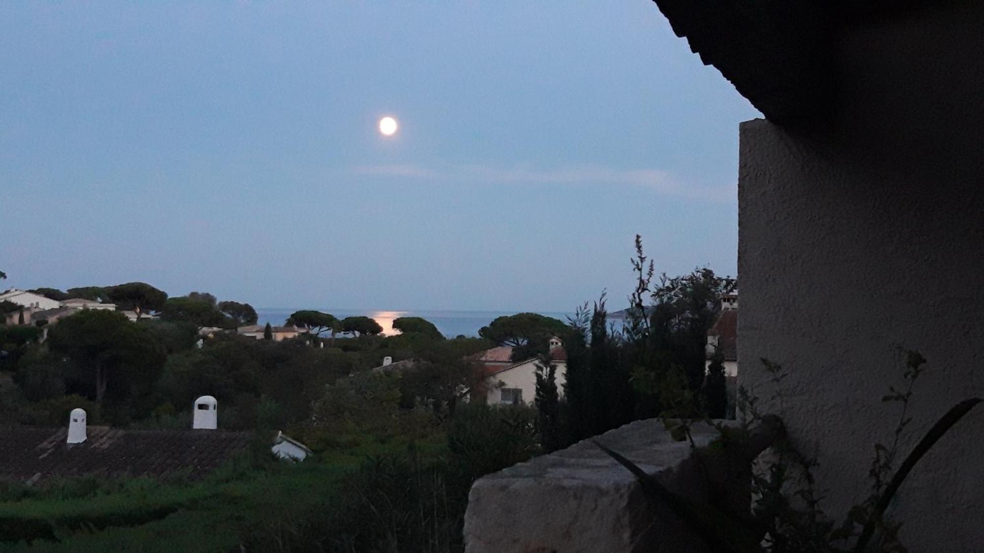 Appartement Le Gecko Sea View *