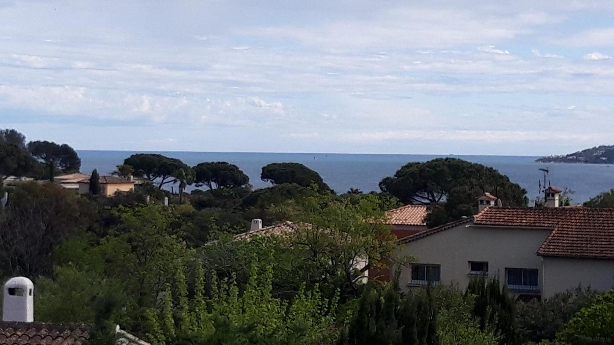 Appartement Le Gecko Sea View