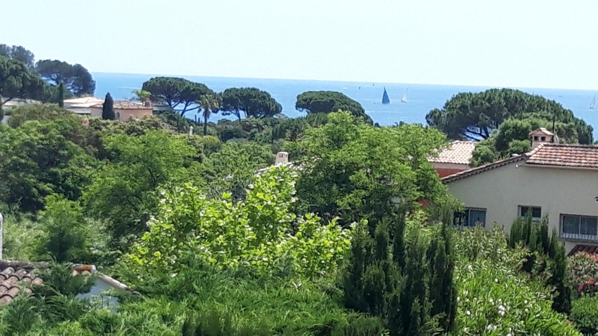 Apartment Le Gecko Sea View
