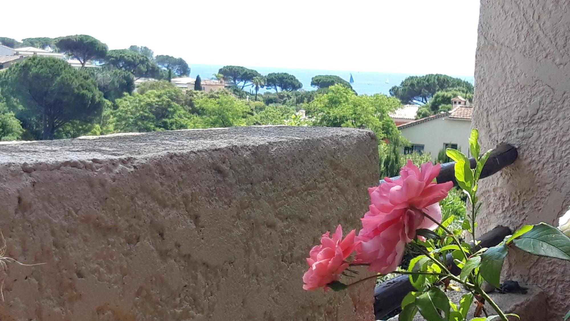 Le Gecko Sea View Sainte-Maxime